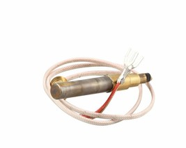 Wells 2T-42195 Thermopile - $14.10