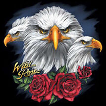 Eagle Wild Rose Cross Stitch Pattern***L@@K*** - $2.95
