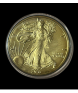 2003 American Silver Eagle Dollar 1 oz Fine Silver Coin Golden Gilded Bu... - $1,728.19 MXN