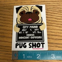 Pug Shot Magnet Funny Magnet David &amp; Goliath 2011 City Pound Indecent Exposure - £7.11 GBP