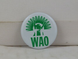 Retro Ska Band Pin - WAO Japanese Ska - Celluloid Pin  - £11.96 GBP