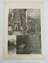 Antique 1888 Print Californian Sketches Mammoth Trees Rocks and Mountain Scenery - £29.90 GBP