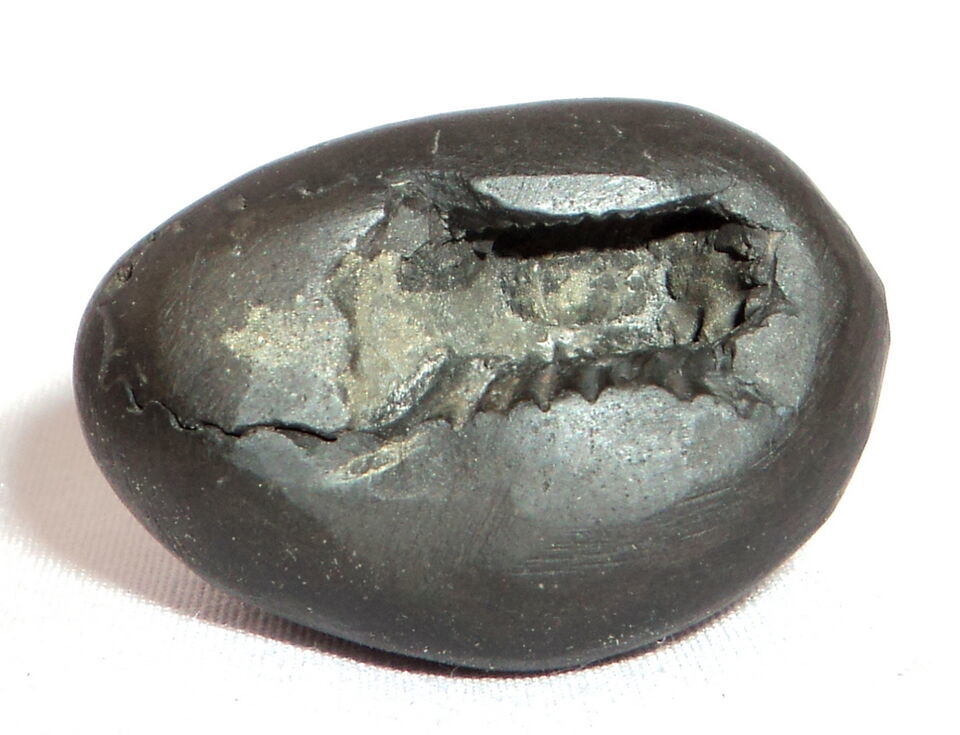 Vaman Shaligram / Vaman Salagram - Gandaki River Nepal - $89.10