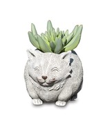 Stone Resin Mini Cat Planter - £23.96 GBP