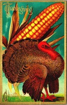 Turkey and Large Ear of Corn Thanksgiving Greetings Embossed 1911 Postcard - £11.86 GBP