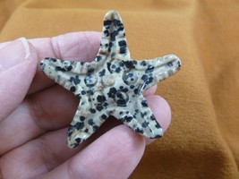 Y-STA-560) spotted black white STARFISH gemstone sea star Stone FIGURINE... - £11.19 GBP