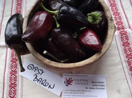 Gypsy Baron Pepper, 10 seeds (Ca 005) - £3.98 GBP