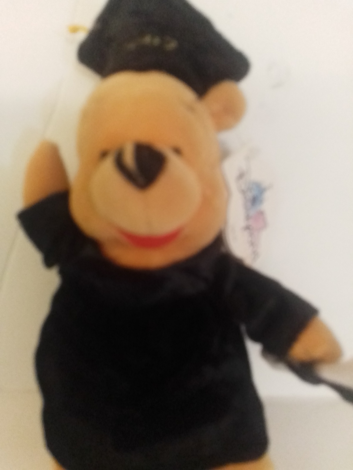 Disney 2002 Graduation Pooh 8" Bean Bag Plush Toy VG With All Tags - £15.79 GBP