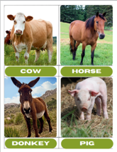 45 Editable Farm Animals Flashcards | Montessori Printable Animal Flash Cards - £2.33 GBP