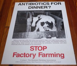 Vtg Humane Farming STOP FACTORY FARMING Vegan Animal Rights Activist POSTER - £99.05 GBP