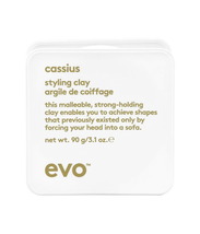 EVO cassius styling clay 90g