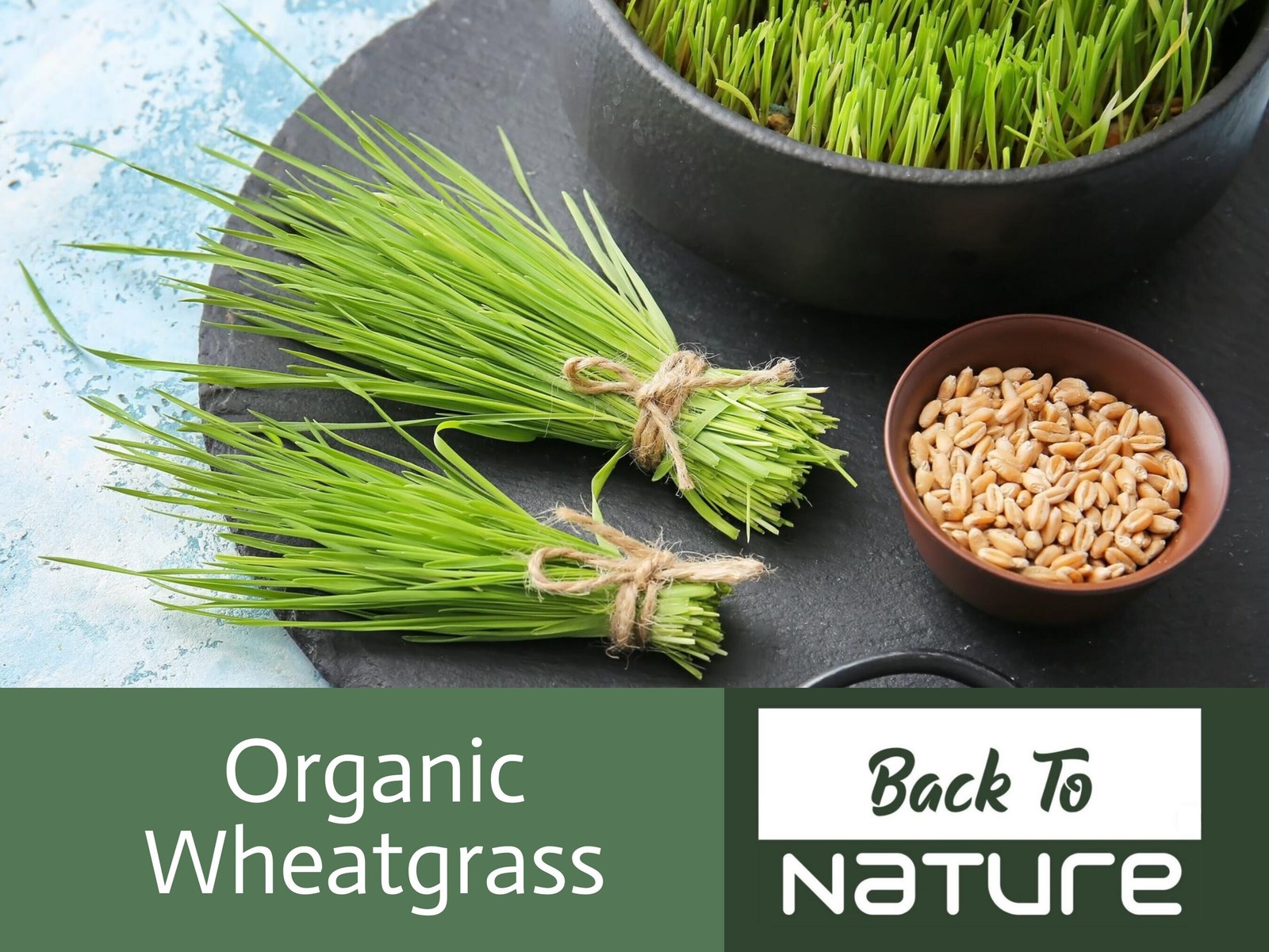 Wheatgrass Seeds - Cat Grass - Organic & Non Gmo Wheatgrass Seeds - Heirloom See - $2.69