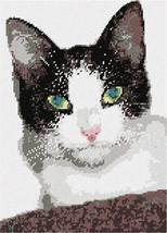 Pepita Needlepoint Canvas: Cat Eyes, 9&quot; x 12&quot; - £68.36 GBP+