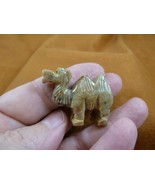 (Y-CAM-1) little Tan CAMEL camels desert dromedary SOAPSTONE FIGURINE ge... - $160.27 MXN