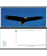 Vintage OVERSIZE Postcard - Bald Eagle, 200th Anniversary As National Sy... - $3.98 CAD