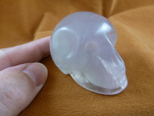(HH-60-B) HUMAN SKULL Green White FLUORITE crystal gem Gemstone carving ... - $32.71