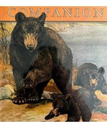 Bear With Cubs 1928 Youth&#39;s Companion Lithograph Cover Art Charles Bull ... - $49.99