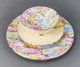 Shelley England Rock Garden Chintz Oleander Bone China Tea Cup Saucer Pl... - £218.05 GBP