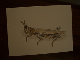 Handpainted greeting Blank Card with grasshopper - $5.00
