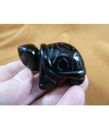(Y-TUR-LAO-764) little Black onyx TURTLE tortoise FIGURINE gemstone gem ... - €19,59 EUR