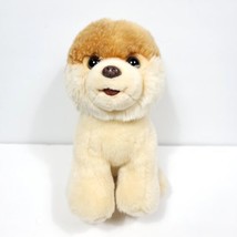 Gund Cutest Brown White Puppy Dog Plush Stuffed Animal Pomeranian 9&quot; Boo - £18.19 GBP