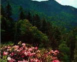 Great Smoky Mountains National Park Rhododendrons in Bloom Vtg Chrome Po... - $2.92