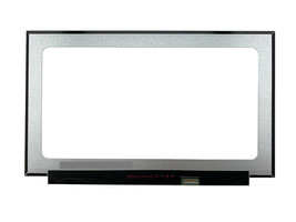 BOE NE173QHM-NY2 V8.0 Laptop Screen 17.3&quot; LED LCD IPS QHD 165Hz - $148.50