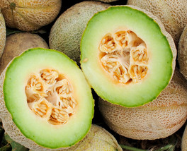 HSeeds Rocky Ford Cantaloupe Seeds 50+ Green Flesh Eden Gem Melon Fruit  - $2.62