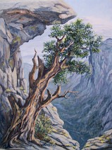Sierra Granite Rock Ledge Tree Original Oil Painting by Irene Livermore  - $425.00