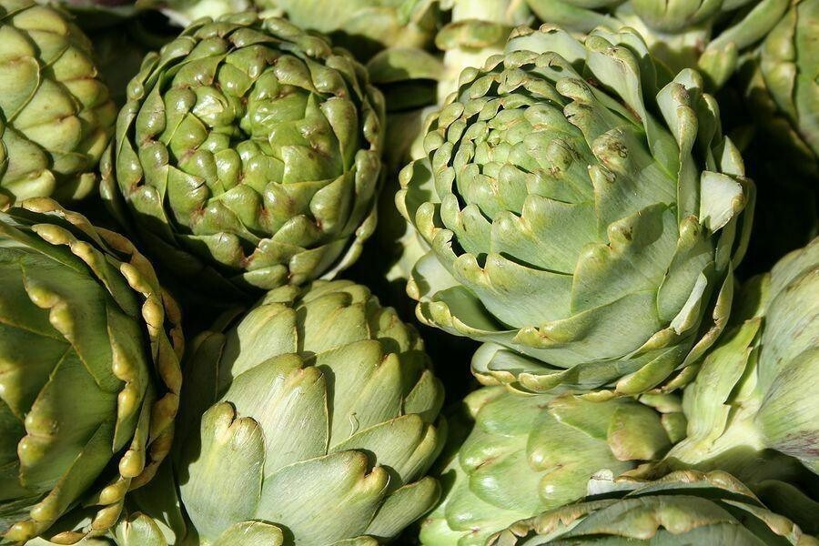 35+ Green Globe Artichoke Seeds  Heirloom Artichoke Seeds NON-GMO Free S... - $2.19
