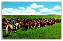 Cattle Roundup Time in Texas TX Chrome Postcard O22 - £2.28 GBP