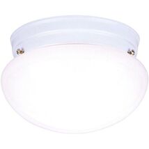 Westinghouse Lighting 66699 WESTINGHOUSE, One Light White - $47.98 CAD