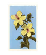 Postcard HI-74 Hibiscus Set of 5 - $16.36 CAD