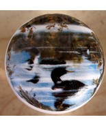 Cabinet Knobs Knob w/ Loon #6 Loons @Pretty@ bird - $99.00 MXN