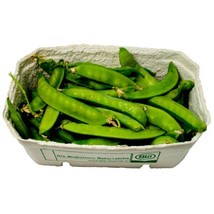 Non Gmo 16 Pea Seeds Snow Oregon Sugar Pod Heirloom Home Garden - £6.89 GBP