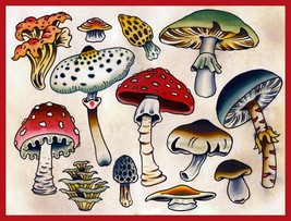 12673.Decor Poster.Home wall.Room art interior design.Mushroom illustration - £13.44 GBP+
