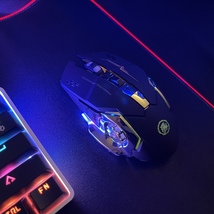 Wireless RGB Gaming Mouse - $49.00