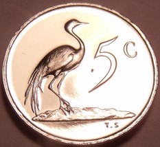 Selten Beweis Südafrika 1969 5 Cent ~ Nur 12,000 Ever Minted ~ Blau Crane ~ - $9.14