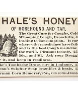 1885 Medical Hale&#39;s Honey Horehound Quack Medicine Advertisement Victori... - $27.87 CAD