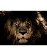 Self-Development - Enhance and Improve Your Confidence And Personal Power - $84.99