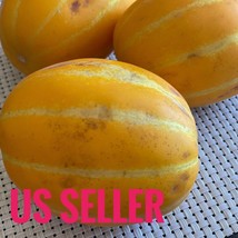 25 Seeds Korean Mk Melon Sweetcrunchygolden Yellow Seller - £5.15 GBP