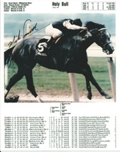 1995 - HOLY BULL - Color Close Up Photo With Lifetime Racing History - 8&quot; x 10&quot; - £15.98 GBP