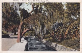 St. Petersburg Florida FL Ravine in Roser Park Spanish Moss 1924 Postcard D52 - $2.99