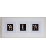 Gorgeous Photo Triptych Matted Ana Montoto Beautiful! - $297.00