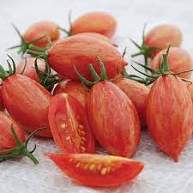 50 Seeds Pink Tiger Tomato Tomatoe Vegetable Garden Edible Canning - $5.18