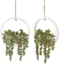 Floweroyal 2 Pcs. Artificial Succulents Hanging Plants With A Fake String Of - £30.25 GBP