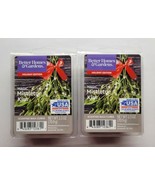 Magic Mistletoe Kiss Better Homes and Gardens 2 Packs Scented Wax Cube M... - £7.90 GBP