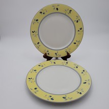 Set Of 2 Royal Doulton Blueberry Dinner Plates 10.25&quot; Microwave/dishwash... - €12,93 EUR