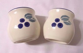 Pfaltzgraff Blueberry Salt and Pepper Shakers Blue Berries Shaker Set St... - $25.69