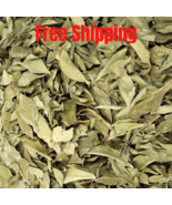 100 grams Organic dried Curry Leaves Murraya Koenigii اوراق الكاري الطبيعية - $346.11 MXN